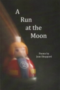 a-run-at-the-moon